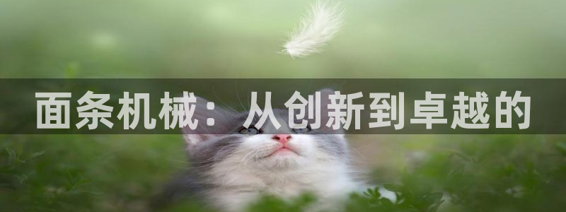 鸿运下注平台