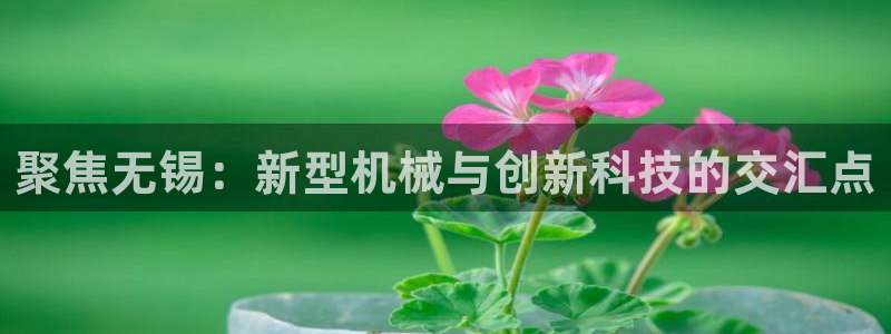 鸿运首选投资平台