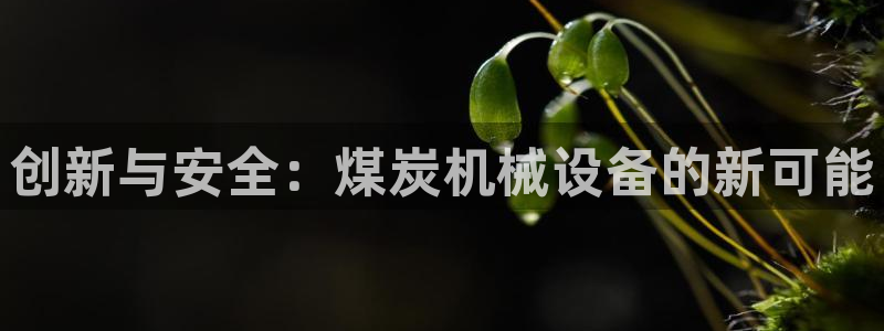 鸿运当头平台抽奖