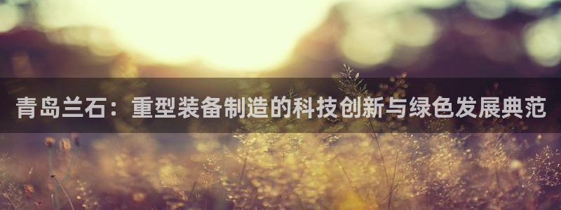 鸿运来补单平台