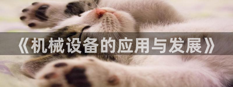 鸿运国际平台平