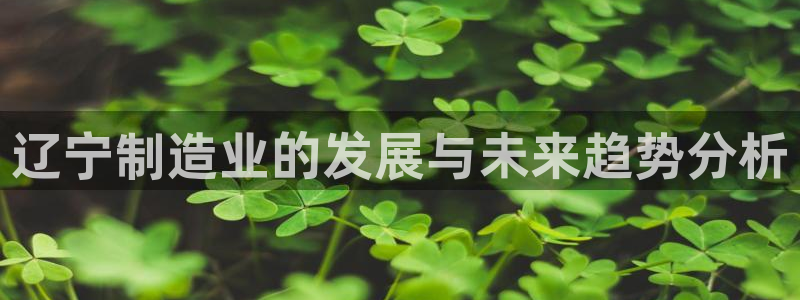 鸿运服务平台