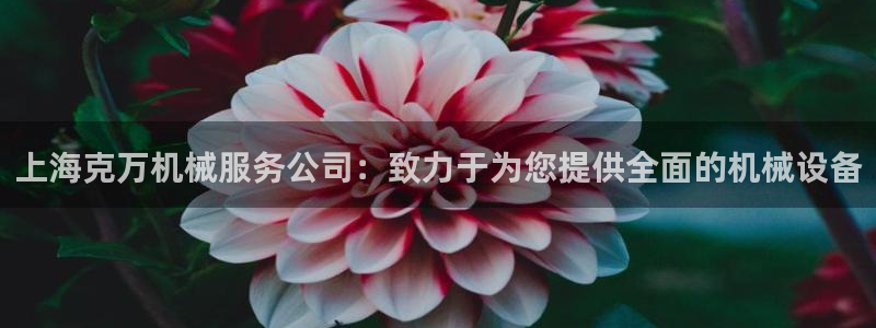 鸿运是什么平台