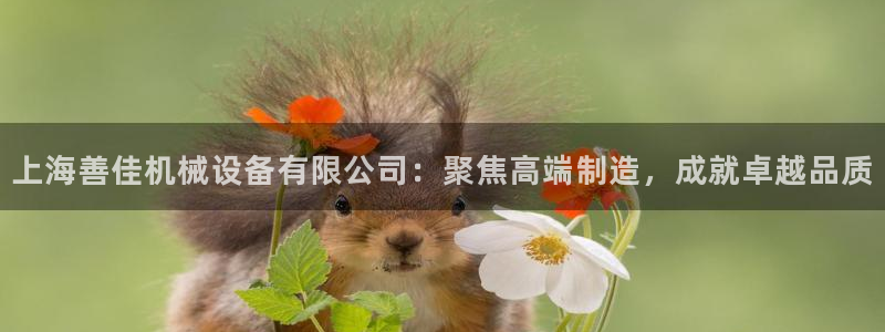 鸿运供应管理平台