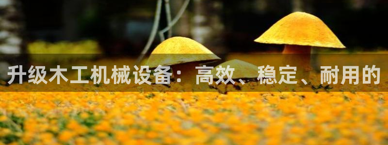 唯一艺术平台鸿运当头