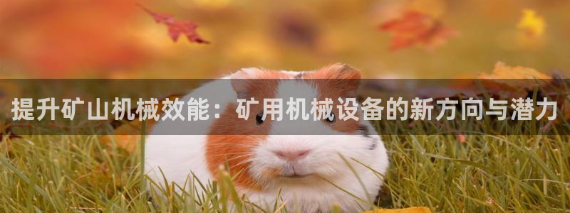鸿运平台招商