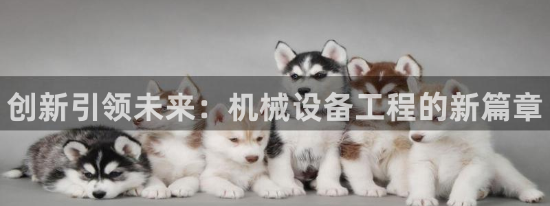 鸿运购彩平台