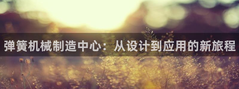 鸿运和拍拍卖平台