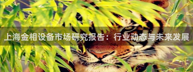 鸿运注册真人平台