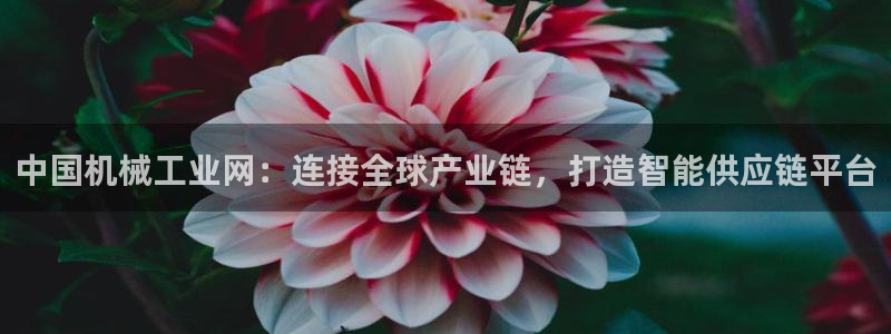 鸿运平台正规吗